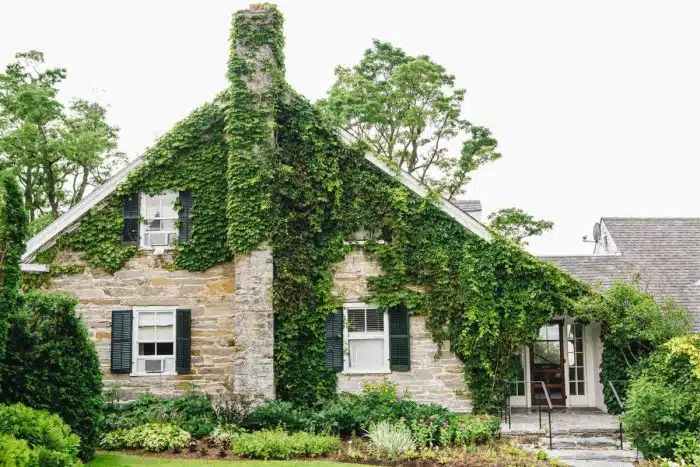The exterior of the Homestead accommodation