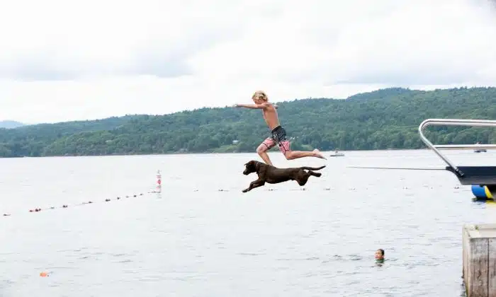 A boy and a dog jumping off a diving board into the lake