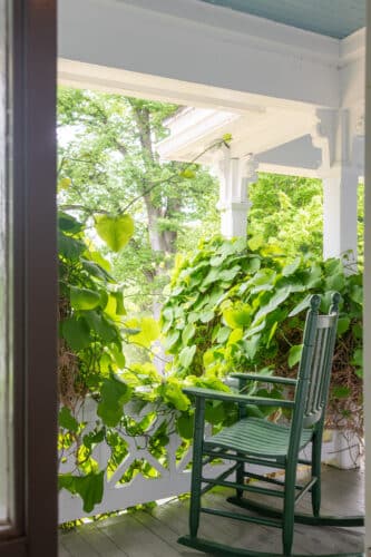 A green rocking chair on a porch surrounded by greenery