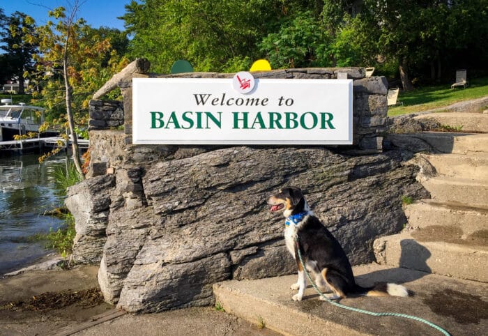 Welcome To Basin Harbor A dog next to the "Welcome to Basin Harbor" sign at the waterfront