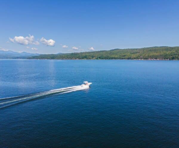 A speed boat driving on the lake
